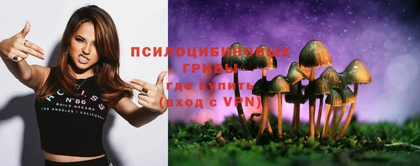 PSILOCYBIN Богданович