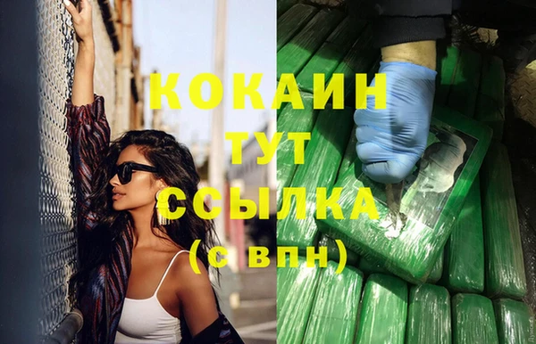 сатива Богородицк