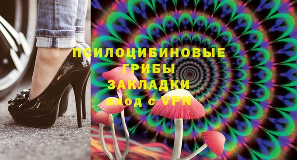 сатива Богородицк