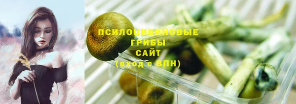 МДПВ Богородск