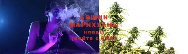 PSILOCYBIN Богданович