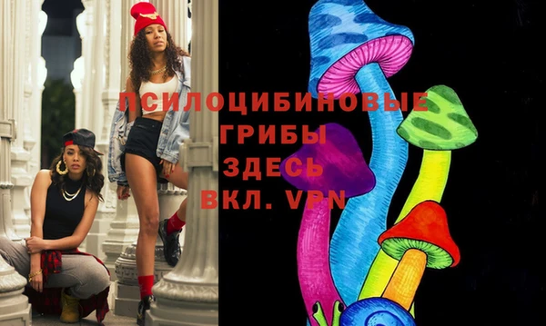 сатива Богородицк