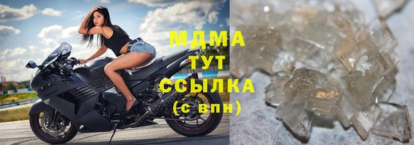 PSILOCYBIN Богданович