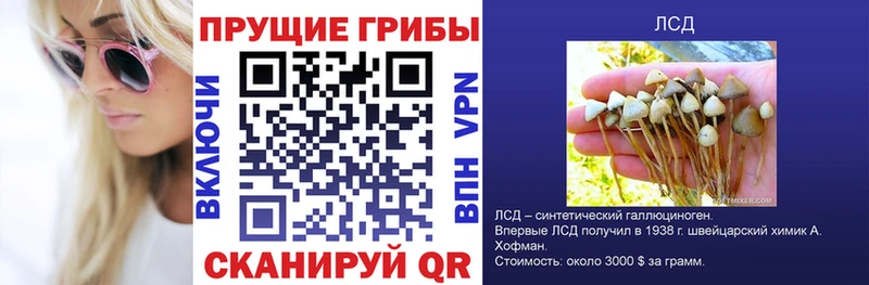 магазин    Кохма  Галлюциногенные грибы мицелий 